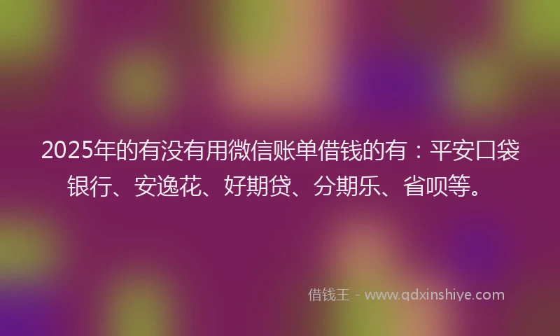 2025年的有没有用微信账单借钱的有：平安口袋银行、安逸花、好期贷、分期乐、省呗等。