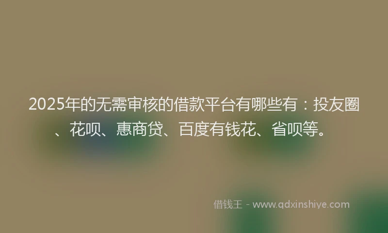 2025年的无需审核的借款平台有哪些有：投友圈、花呗、惠商贷、百度有钱花、省呗等。