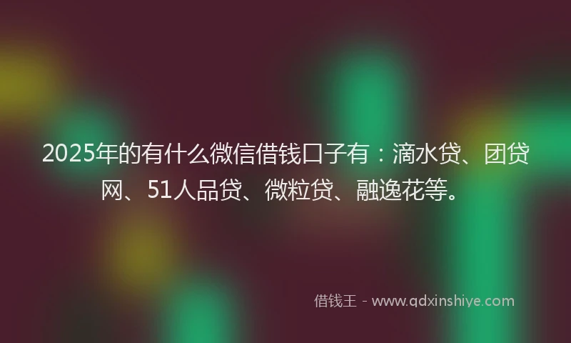 2025年的有什么微信借钱口子有：滴水贷、团贷网、51人品贷、微粒贷、融逸花等。