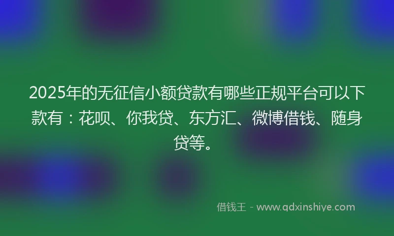 2025年的无征信小额贷款有哪些正规平台可以下款有：花呗、你我贷、东方汇、微博借钱、随身贷等。