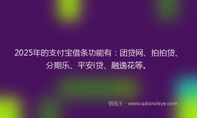 2025年的支付宝借条功能有：团贷网、拍拍贷、分期乐、平安i贷、融逸花等。