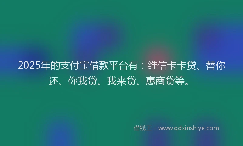 2025年的支付宝借款平台有：维信卡卡贷、替你还、你我贷、我来贷、惠商贷等。