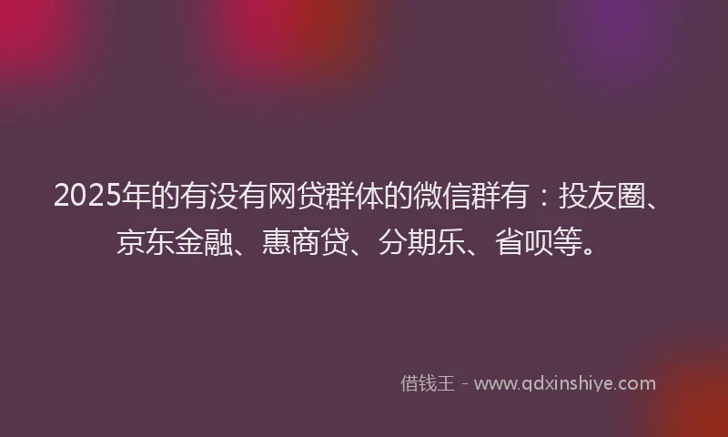 2025年的有没有网贷群体的微信群有：投友圈、京东金融、惠商贷、分期乐、省呗等。