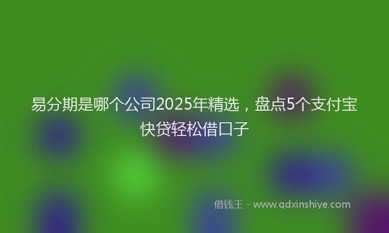 易分期是哪个公司2025年精选，盘点5个支付宝快贷轻松借口子