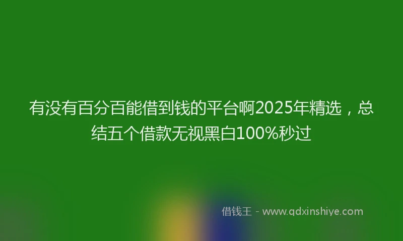 有没有百分百能借到钱的平台啊2025年精选，总结五个借款无视黑白100%秒过