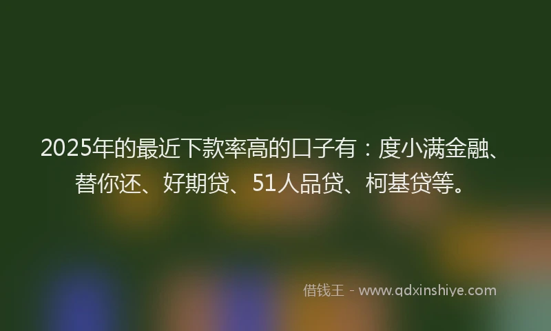 2025年的最近下款率高的口子有：度小满金融、替你还、好期贷、51人品贷、柯基贷等。