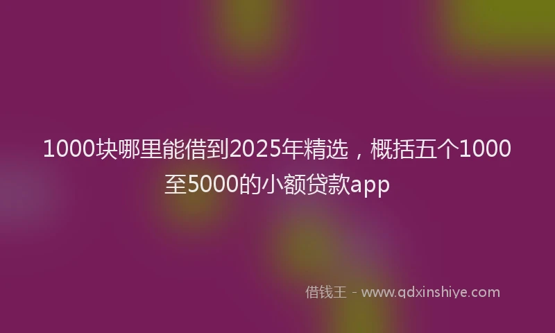 1000块哪里能借到2025年精选，概括五个1000至5000的小额贷款app
