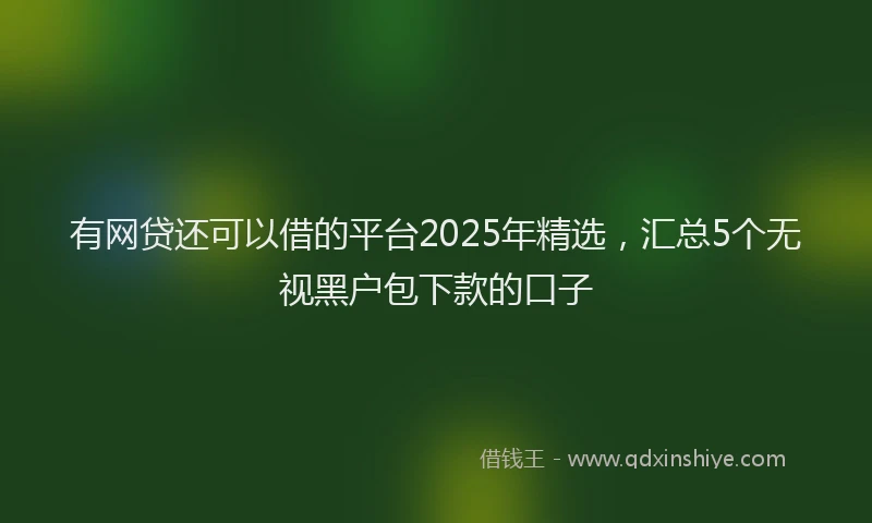 有网贷还可以借的平台2025年精选，汇总5个无视黑户包下款的口子