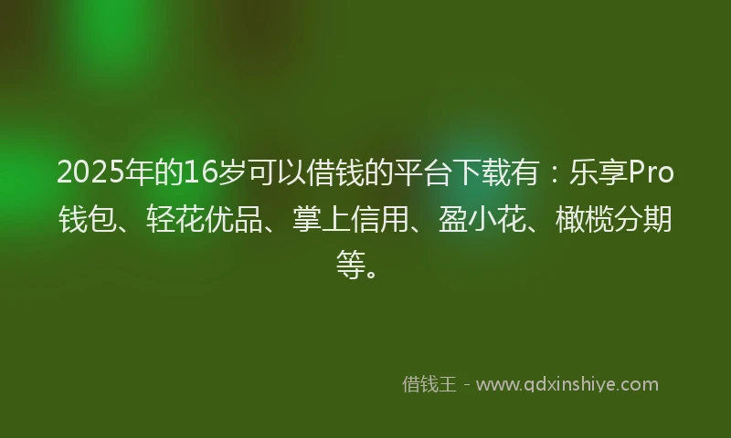 2025年的16岁可以借钱的平台下载有：乐享Pro钱包、轻花优品、掌上信用、盈小花、橄榄分期等。