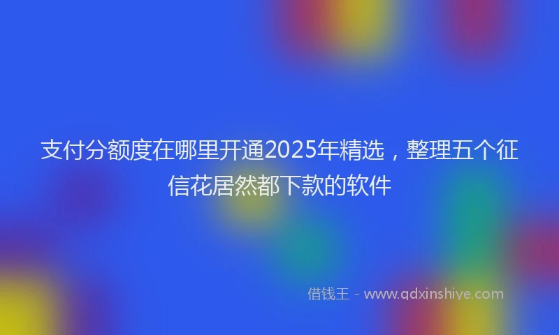 支付分额度在哪里开通2025年精选，整理五个征信花居然都下款的软件