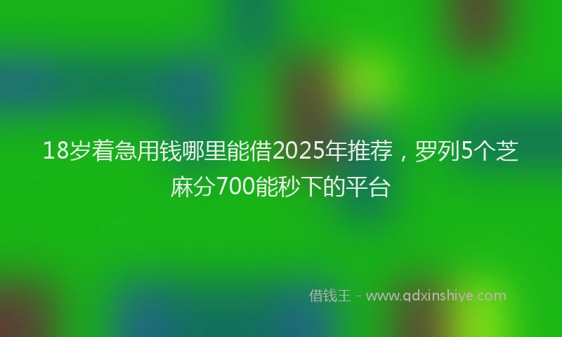18岁着急用钱哪里能借2025年推荐，罗列5个芝麻分700能秒下的平台