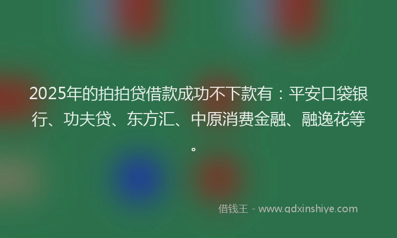 2025年的拍拍贷借款成功不下款有：平安口袋银行、功夫贷、东方汇、中原消费金融、融逸花等。