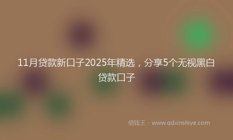 11月贷款新口子2025年精选，分享5个无视黑白贷款口子