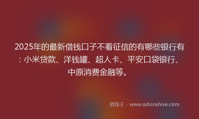 2025年的最新借钱口子不看征信的有哪些银行有：小米贷款、洋钱罐、超人卡、平安口袋银行、中原消费金融等。