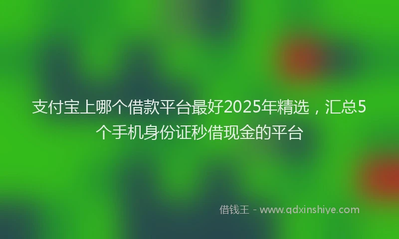 支付宝上哪个借款平台最好2025年精选，汇总5个手机身份证秒借现金的平台