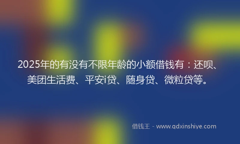 2025年的有没有不限年龄的小额借钱有：还呗、美团生活费、平安i贷、随身贷、微粒贷等。