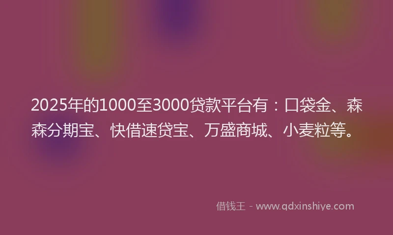 2025年的1000至3000贷款平台有：口袋金、森森分期宝、快借速贷宝、万盛商城、小麦粒等。