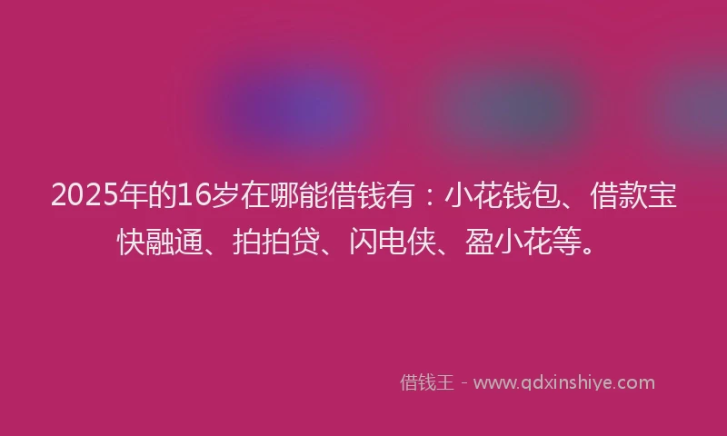 2025年的16岁在哪能借钱有：小花钱包、借款宝快融通、拍拍贷、闪电侠、盈小花等。