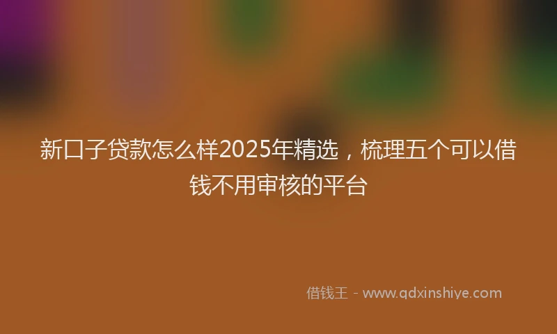 新口子贷款怎么样2025年精选，梳理五个可以借钱不用审核的平台