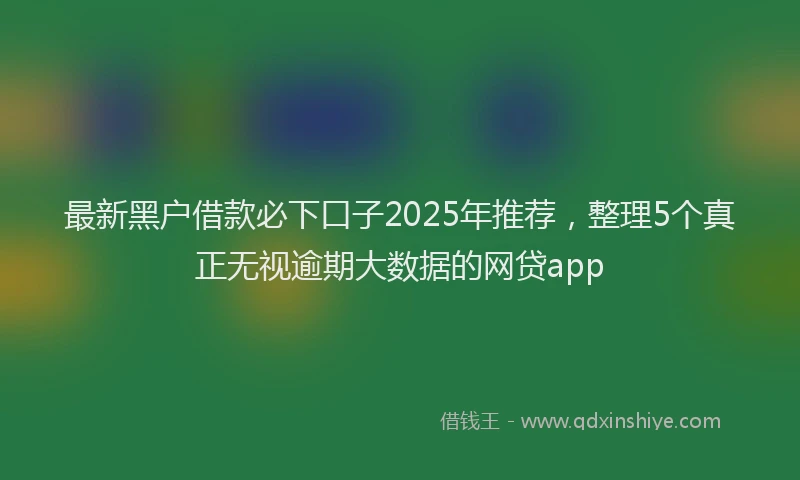 最新黑户借款必下口子2025年推荐，整理5个真正无视逾期大数据的网贷app