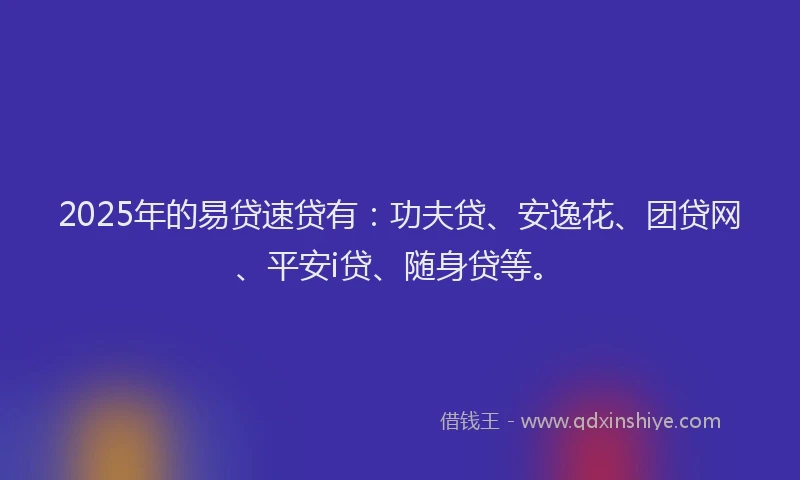 2025年的易贷速贷有：功夫贷、安逸花、团贷网、平安i贷、随身贷等。