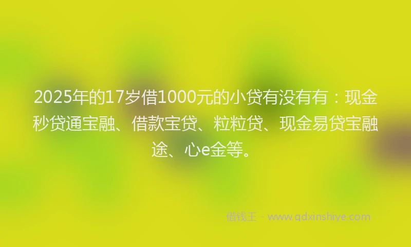 2025年的17岁借1000元的小贷有没有有：现金秒贷通宝融、借款宝贷、粒粒贷、现金易贷宝融途、心e金等。