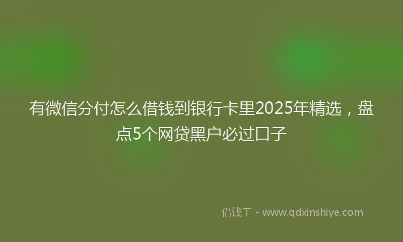 有微信分付怎么借钱到银行卡里2025年精选，盘点5个网贷黑户必过口子