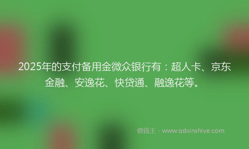 2025年的支付备用金微众银行有：超人卡、京东金融、安逸花、快贷通、融逸花等。