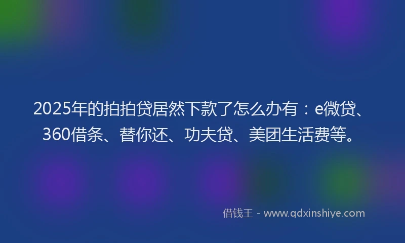2025年的拍拍贷居然下款了怎么办有：e微贷、360借条、替你还、功夫贷、美团生活费等。