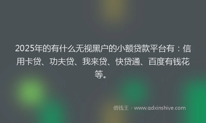 2025年的有什么无视黑户的小额贷款平台有：信用卡贷、功夫贷、我来贷、快贷通、百度有钱花等。