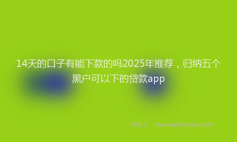 14天的口子有能下款的吗2025年推荐，归纳五个黑户可以下的贷款app