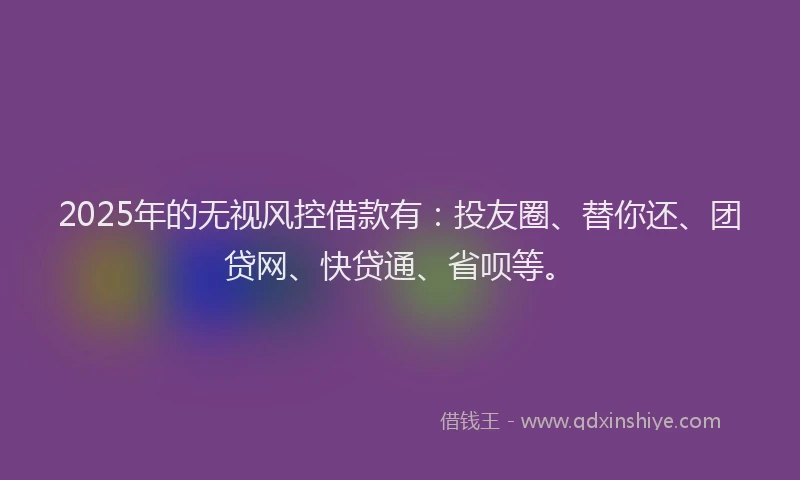 2025年的无视风控借款有：投友圈、替你还、团贷网、快贷通、省呗等。