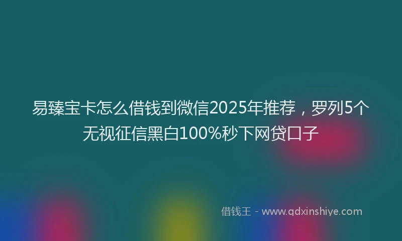 易臻宝卡怎么借钱到微信2025年推荐，罗列5个无视征信黑白100%秒下网贷口子