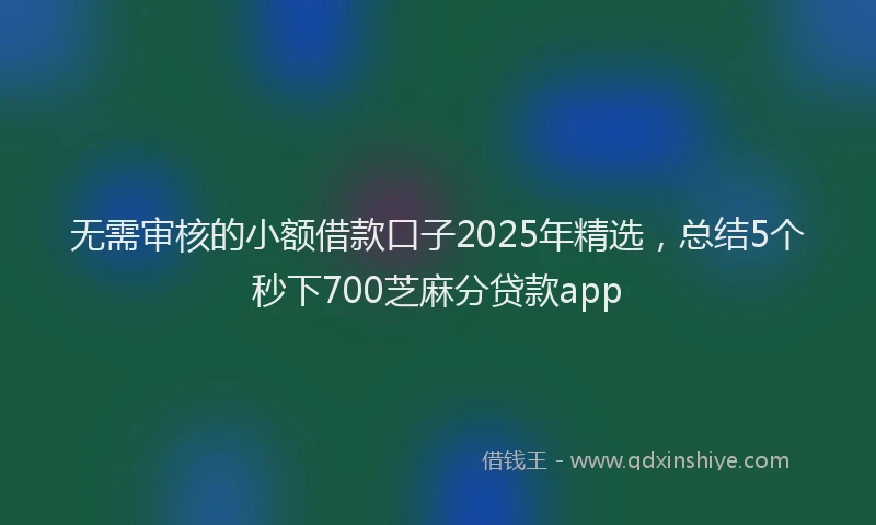 无需审核的小额借款口子2025年精选，总结5个秒下700芝麻分贷款app