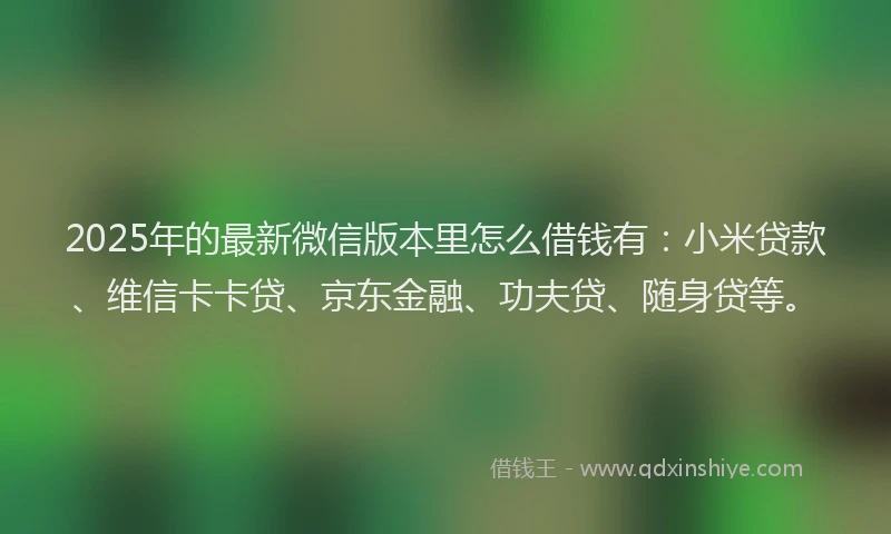 2025年的最新微信版本里怎么借钱有：小米贷款、维信卡卡贷、京东金融、功夫贷、随身贷等。