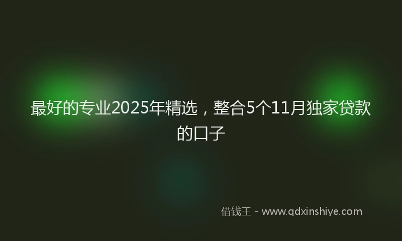 最好的专业2025年精选，整合5个11月独家贷款的口子