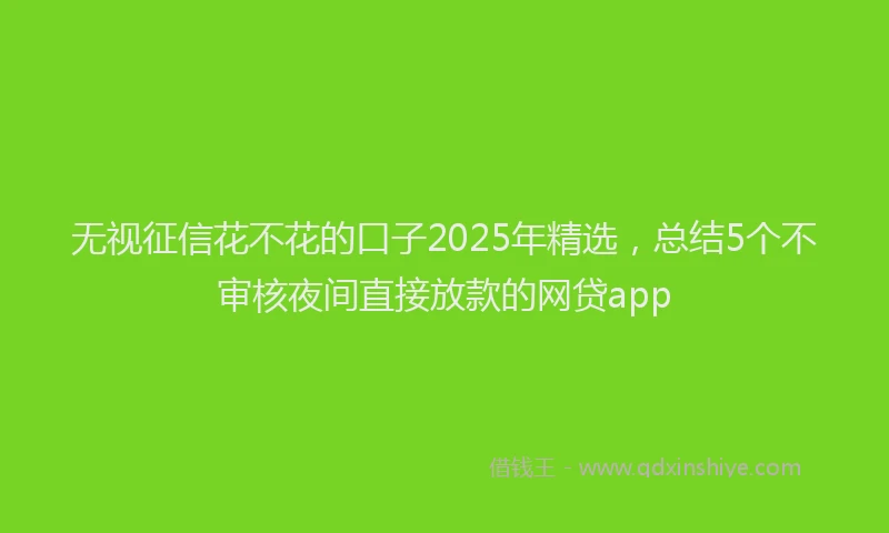 无视征信花不花的口子2025年精选，总结5个不审核夜间直接放款的网贷app