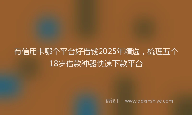 有信用卡哪个平台好借钱2025年精选，梳理五个18岁借款神器快速下款平台