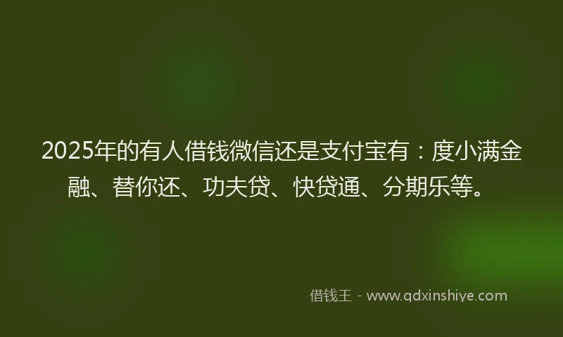 2025年的有人借钱微信还是支付宝有：度小满金融、替你还、功夫贷、快贷通、分期乐等。