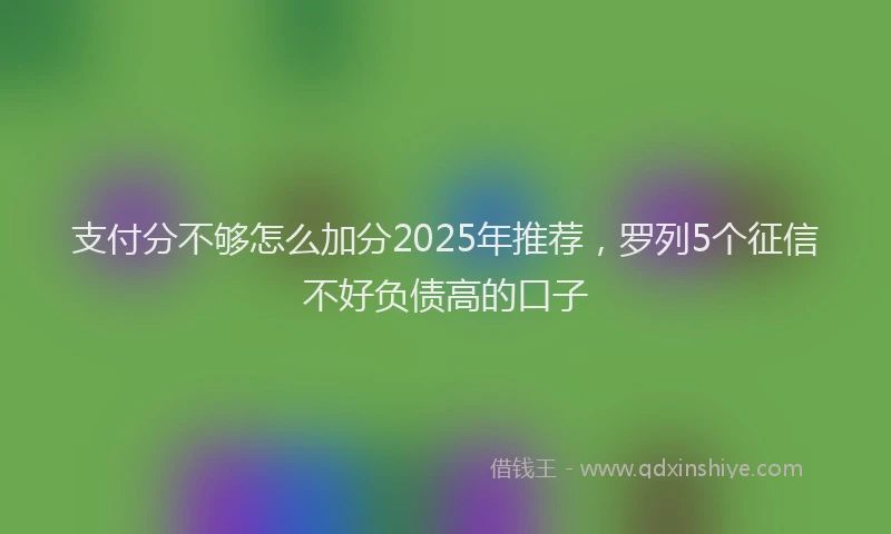 支付分不够怎么加分2025年推荐，罗列5个征信不好负债高的口子