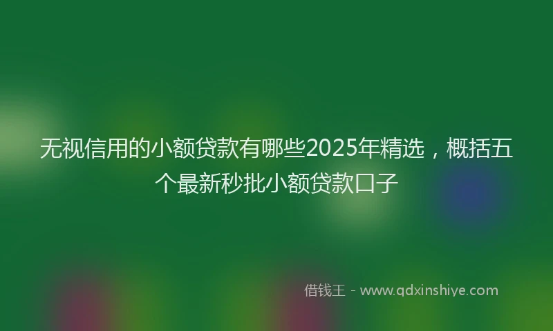 无视信用的小额贷款有哪些2025年精选，概括五个最新秒批小额贷款口子