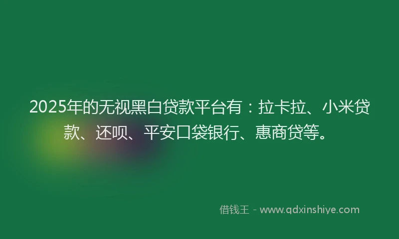 2025年的无视黑白贷款平台有：拉卡拉、小米贷款、还呗、平安口袋银行、惠商贷等。