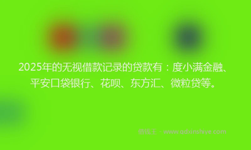 2025年的无视借款记录的贷款有：度小满金融、平安口袋银行、花呗、东方汇、微粒贷等。