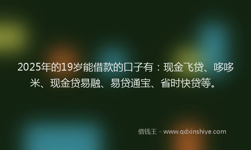2025年的19岁能借款的口子有：现金飞贷、哆哆米、现金贷易融、易贷通宝、省时快贷等。