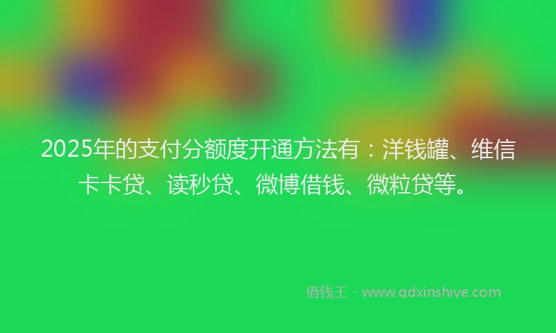 2025年的支付分额度开通方法有：洋钱罐、维信卡卡贷、读秒贷、微博借钱、微粒贷等。