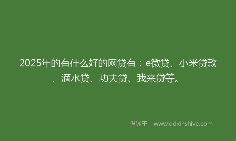 2025年的有什么好的网贷有：e微贷、小米贷款、滴水贷、功夫贷、我来贷等。