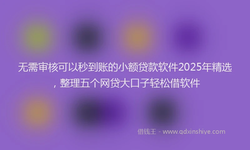 无需审核可以秒到账的小额贷款软件2025年精选，整理五个网贷大口子轻松借软件