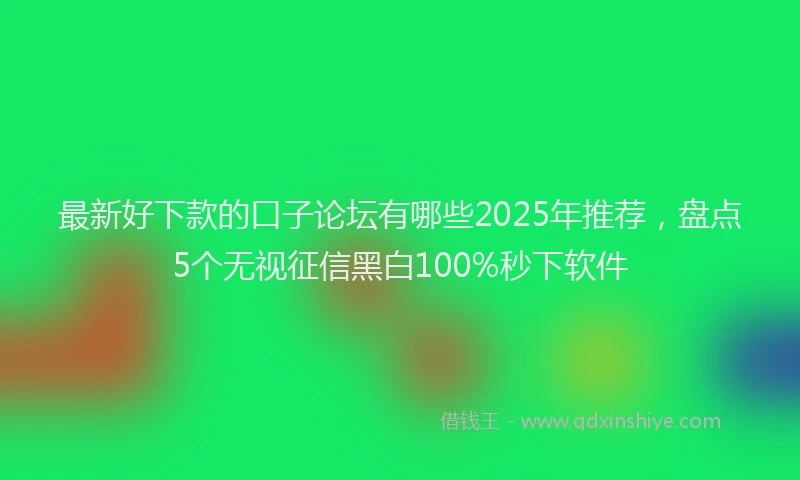 最新好下款的口子论坛有哪些2025年推荐，盘点5个无视征信黑白100%秒下软件