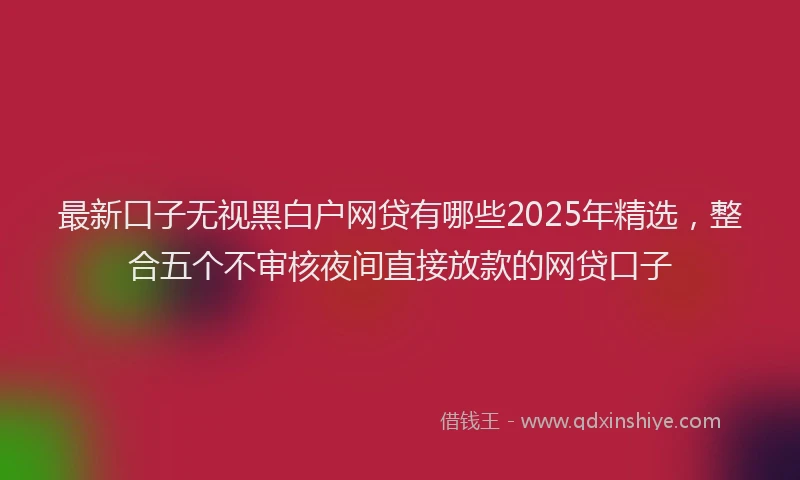 最新口子无视黑白户网贷有哪些2025年精选，整合五个不审核夜间直接放款的网贷口子
