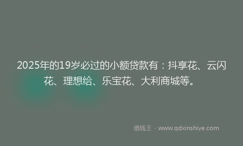 2025年的19岁必过的小额贷款有：抖享花、云闪花、理想给、乐宝花、大利商城等。